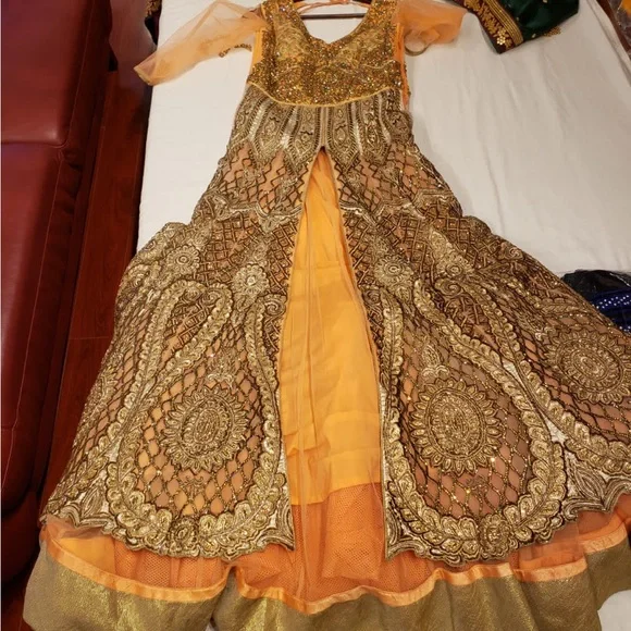 green emerald velvet dress Ombre Embroidered Gown: Elegant Indian Dress main image 1